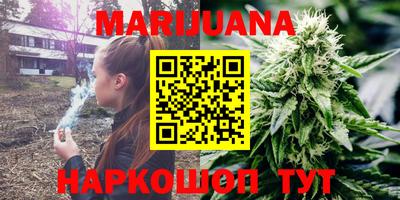 крисы Гагарин